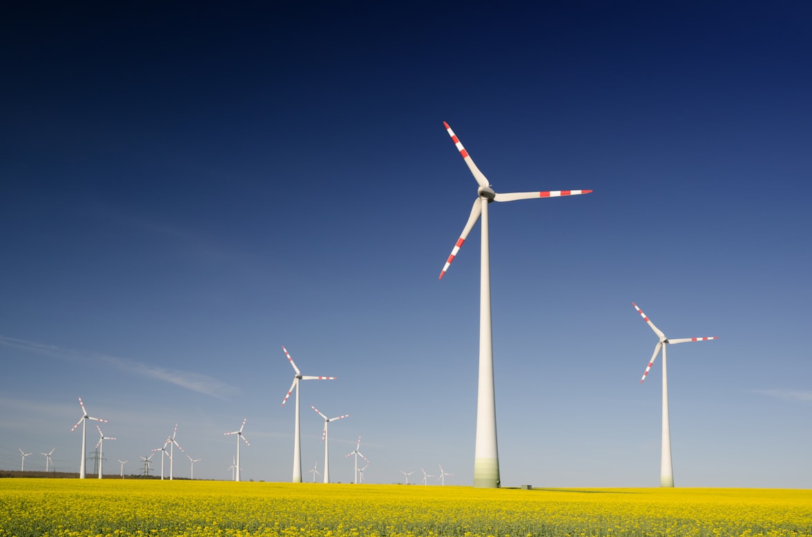 Renewable Energy Legal Experts in India - Green Energy Law Renewable Energy Law - Solar panels and wind turbines in sustainable energy farm